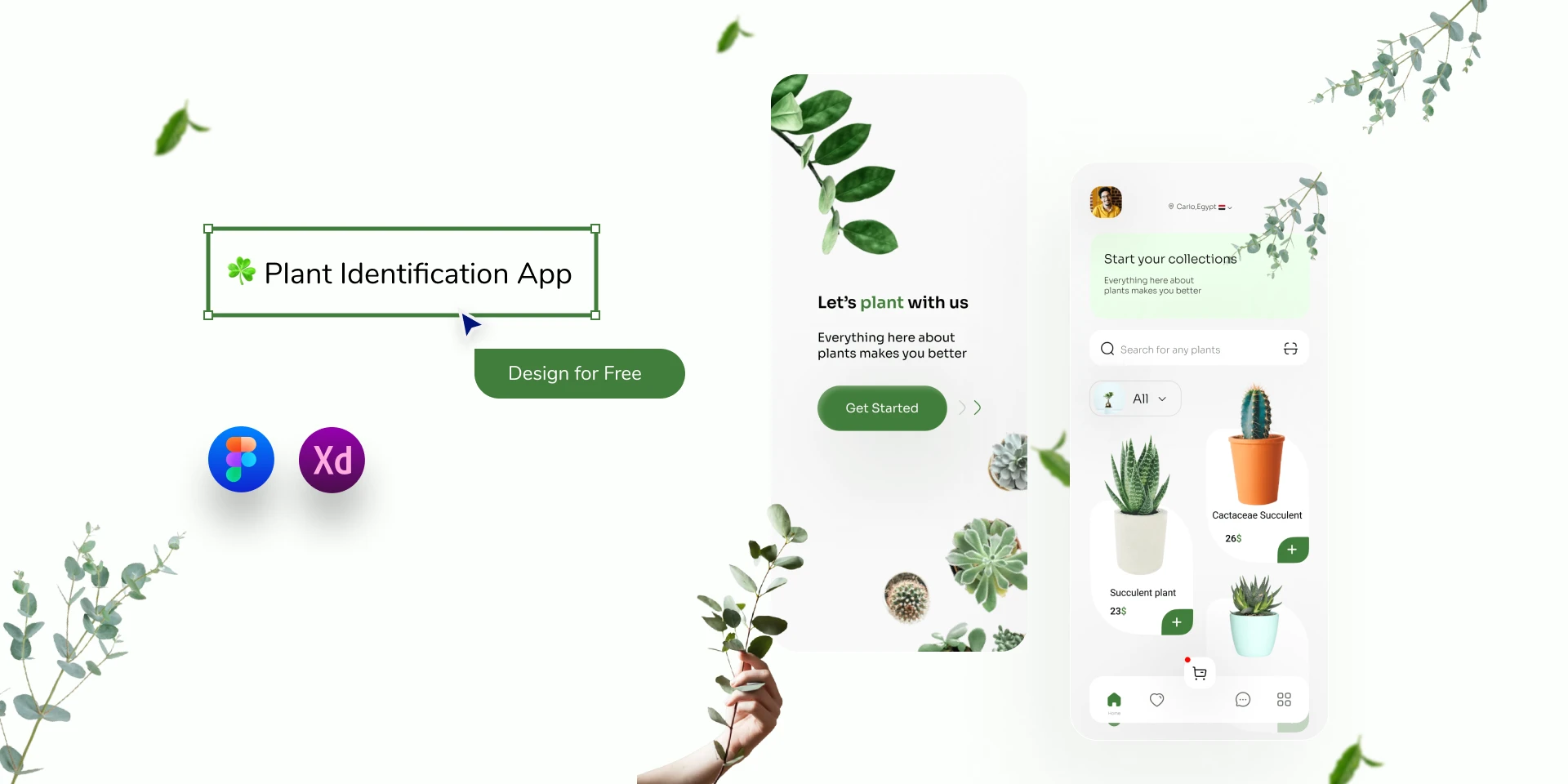  Plant Identification App for Figma and Adobe XD