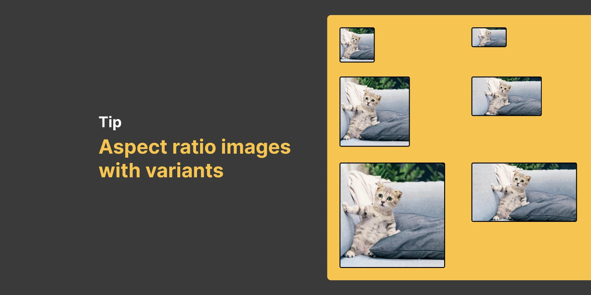 Fixed aspect ratio images with variants for Figma and Adobe XD