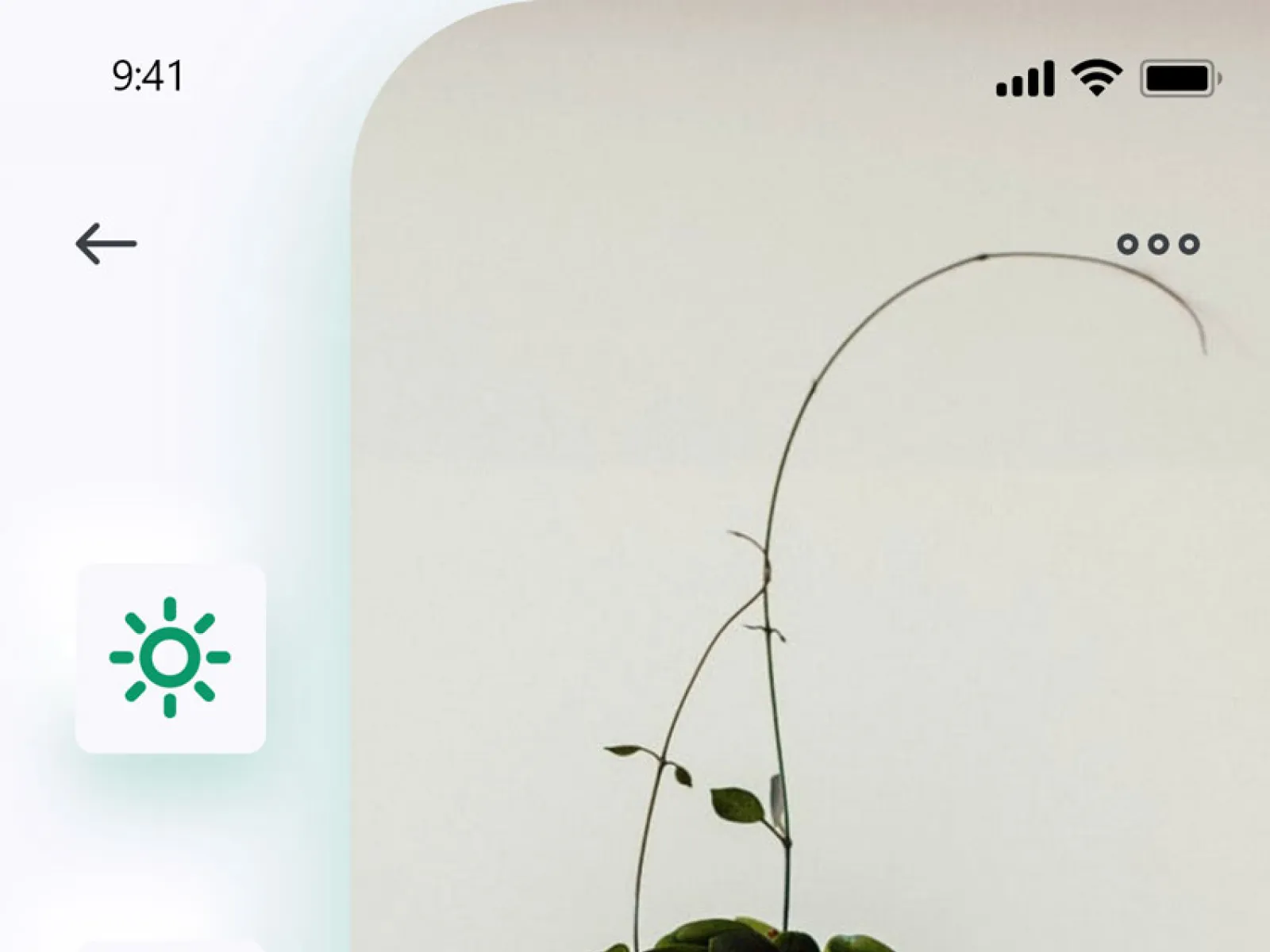Greenery Shop App UI  - Free Figma Template