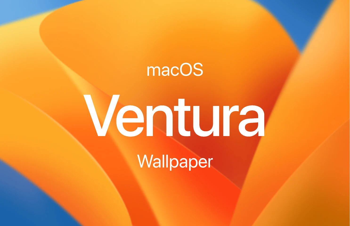 macOS Ventura Wallpaper for Figma and Adobe XD
