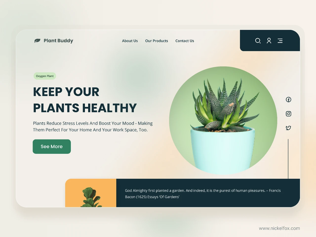 Plant Buddy Landing Page for Figma and Adobe XD