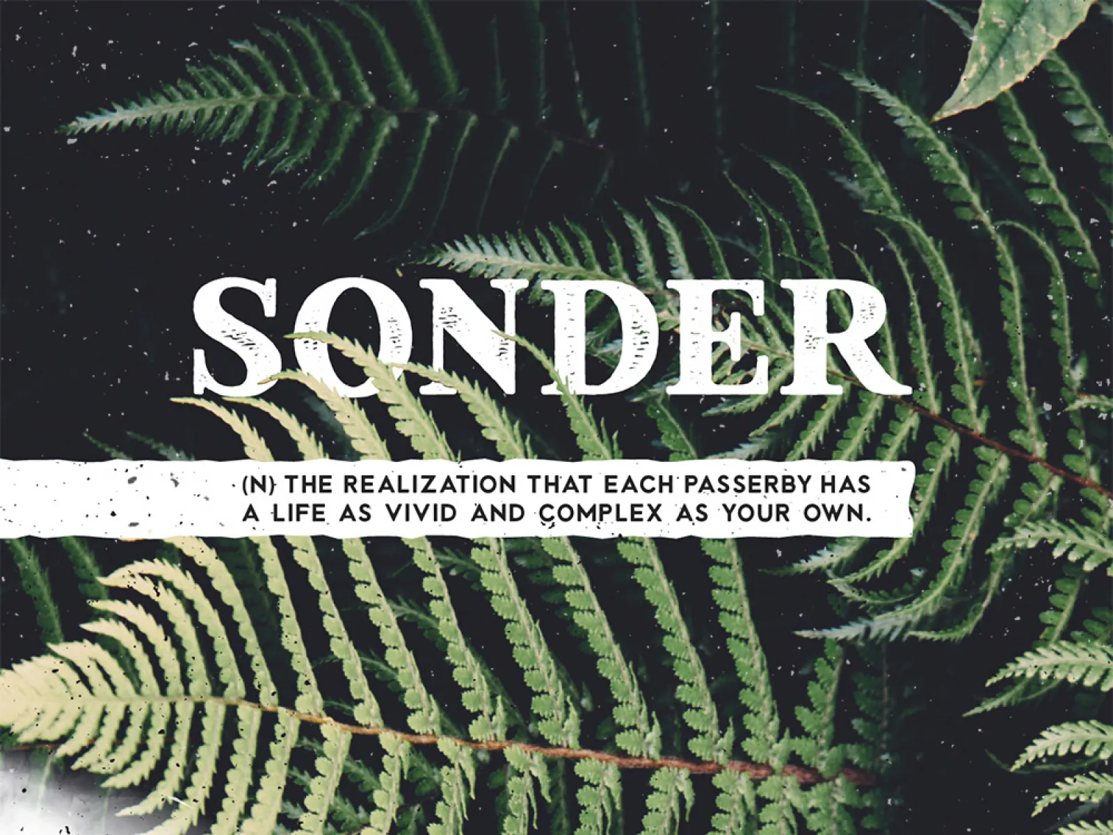 Sonder Free Type Family  - Free Figma Template
