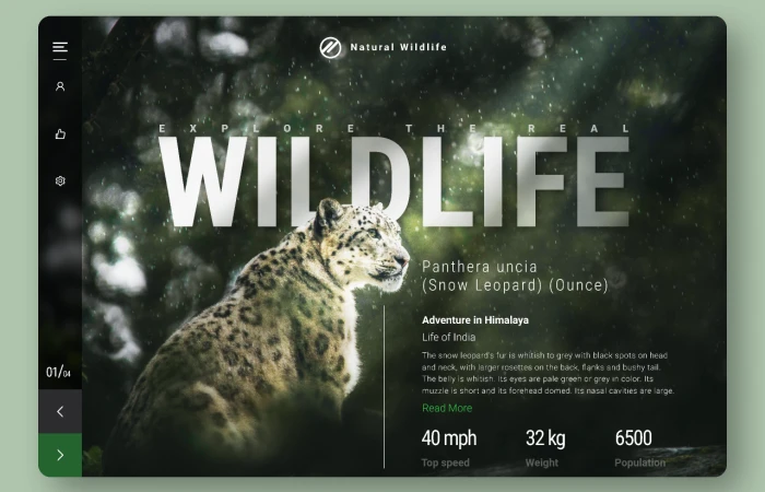 Wildlife Adventure | Blog Concept  - Free Figma Template