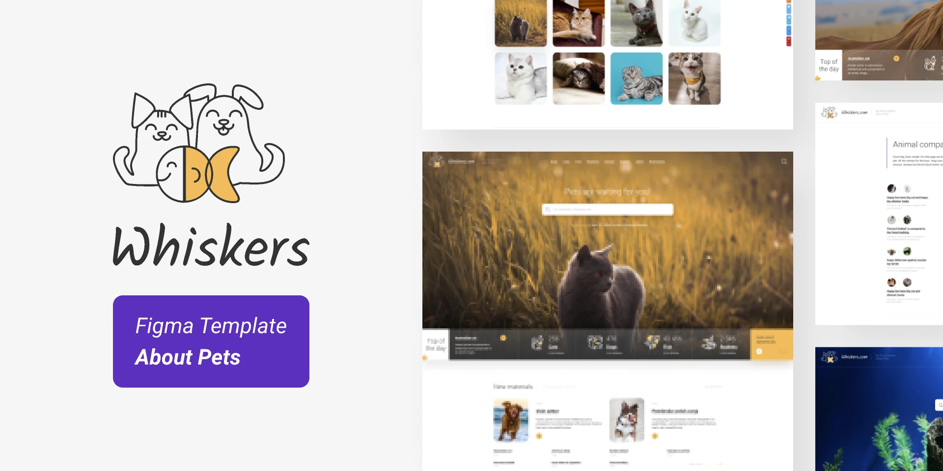 Whiskers  Pets Template (Full Demo) for Figma and Adobe XD