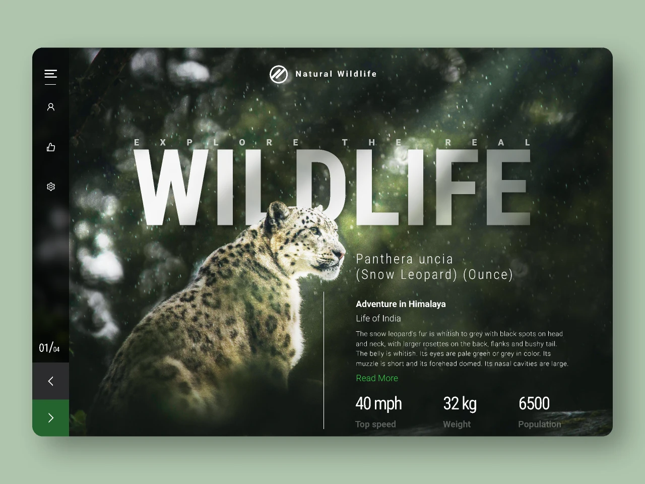 Wildlife Adventure | Blog Concept for Figma and Adobe XD