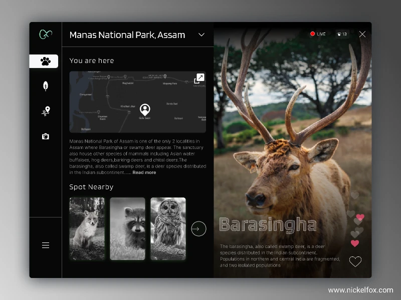 Wildlife  for Figma and Adobe XD